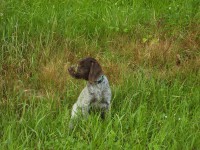 /album/fotogalerie-bettyna/certoviny-004-jpg/